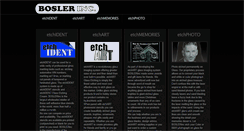 Desktop Screenshot of boslerinc.com